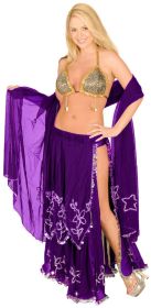 Belly Dancer 3pc Set, Purple/Silver