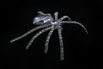 Spider Brooch, Rhinestone