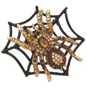 Gold Spider on Web Pin