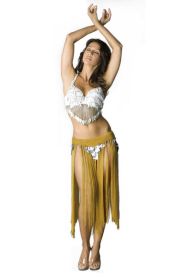 Gypsy Belt with Fringes & coins - Gold/Silver