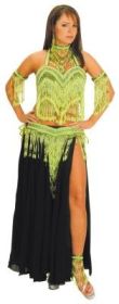 Beaded Fringed Belly Dancer set, Gold